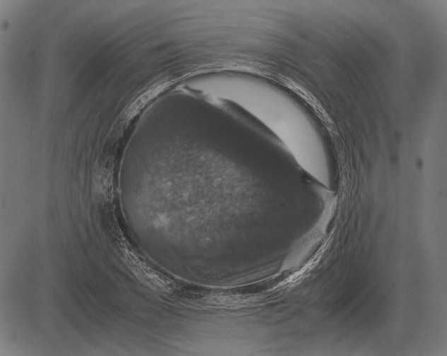 X0000081470977200702021828