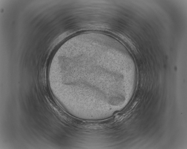 X0000081470982200702021828