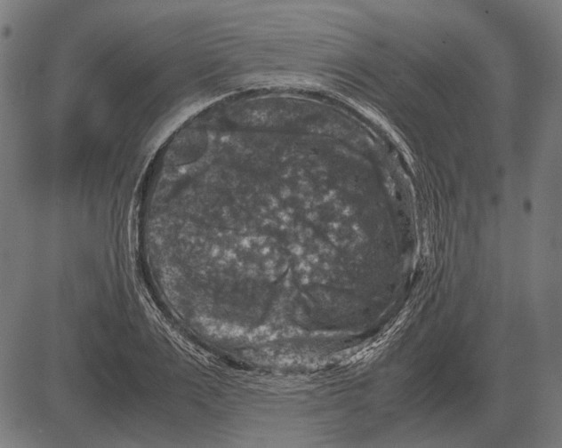 X0000081470983200702021828