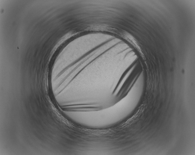 X0000081470984200702021828