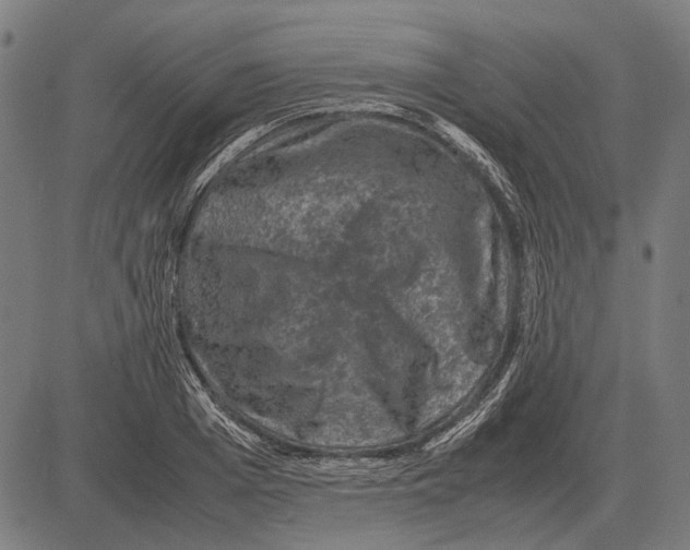 X0000081470985200702021828