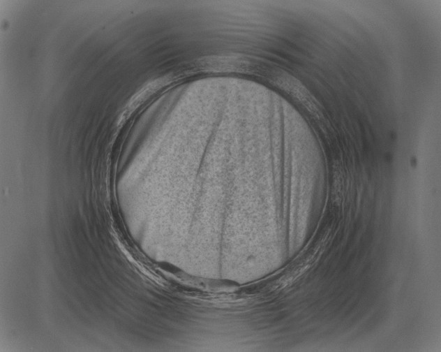 X0000081470986200702021828