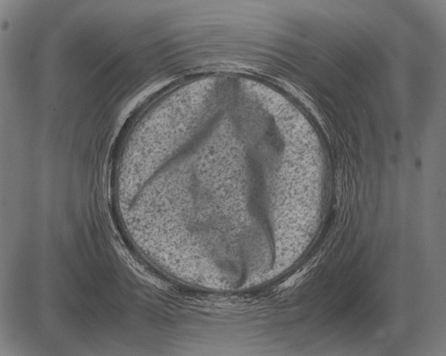 X0000081470987200702021828