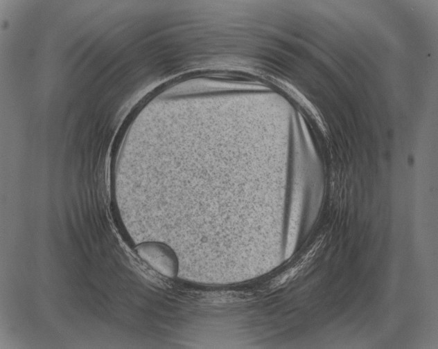 X0000081470988200702021828