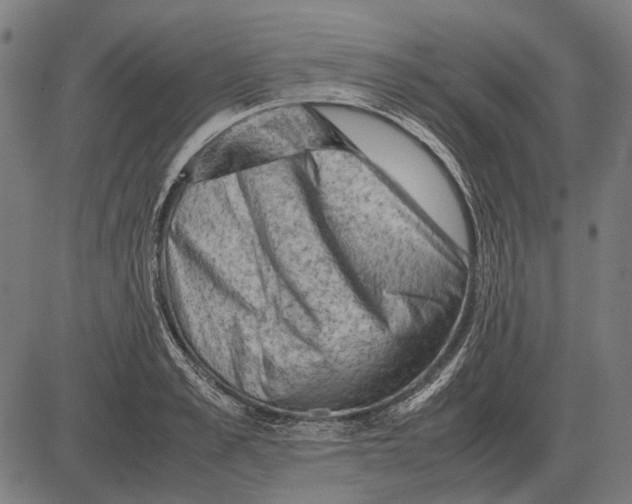 X0000081470989200702021828