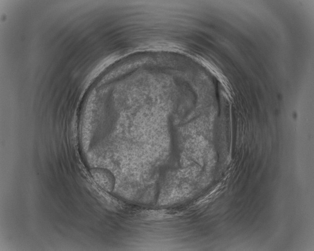 X0000081470990200702021828