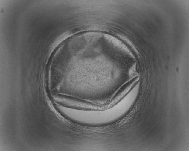 X0000081470991200702021828