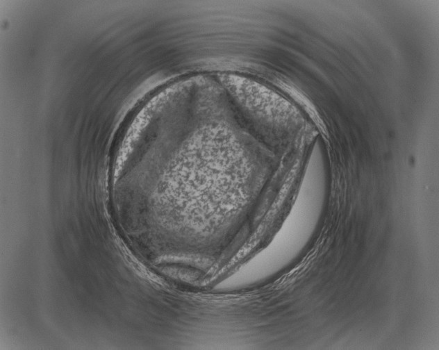 X0000081470992200702021828