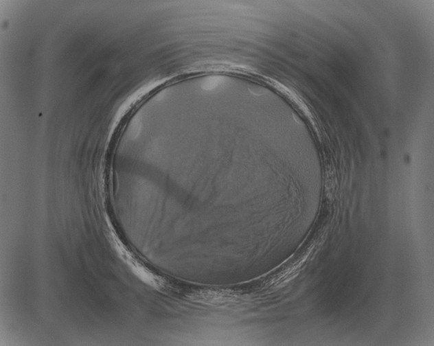 X0000081470995200702021828