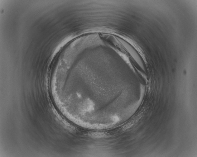 X0000081470998200702021828