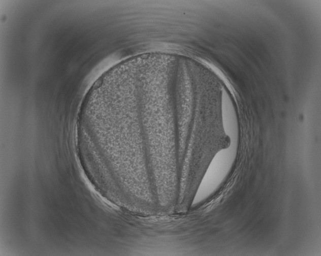 X0000081470999200702021828