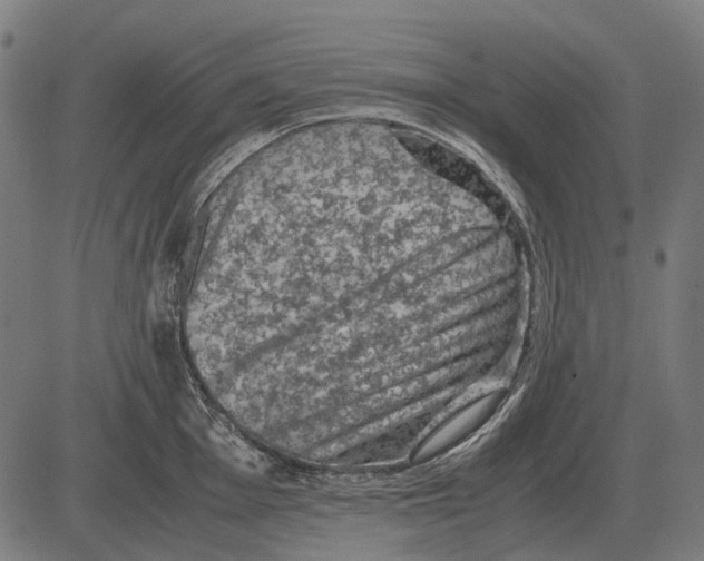 X0000081471001200702021828