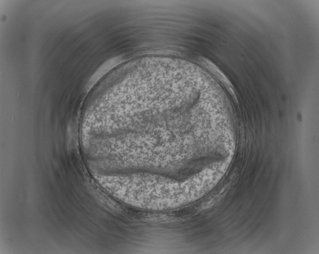 X0000081471002200702021828