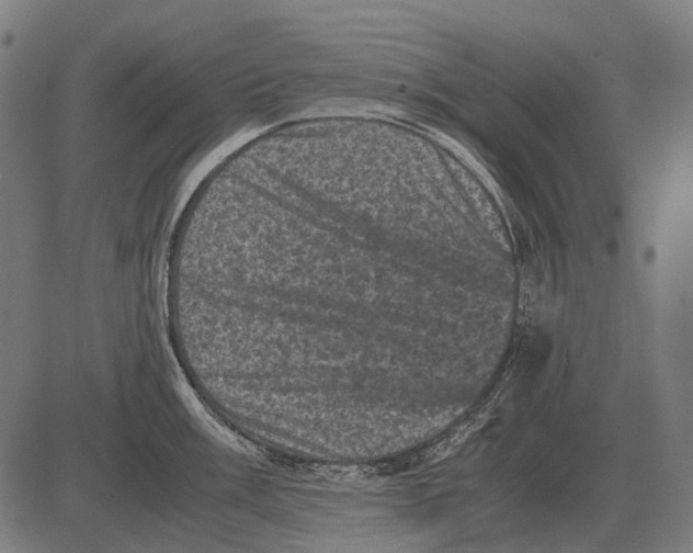 X0000081471003200702021828