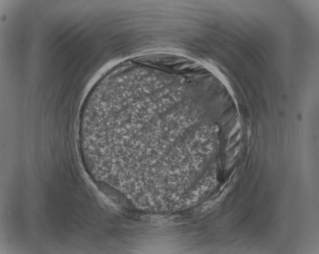 X0000081471005200702021828