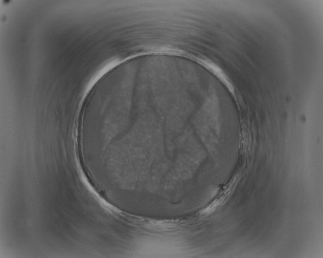 X0000081471007200702021827