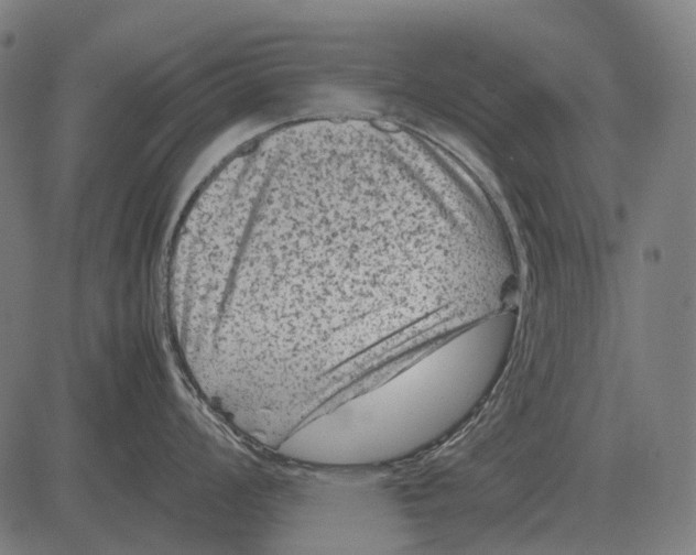 X0000081471008200702021827