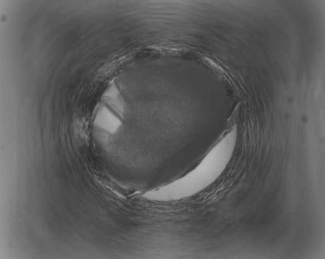 X0000081471010200702021827