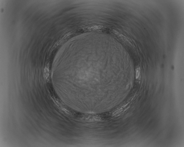 X0000081471011200702021827