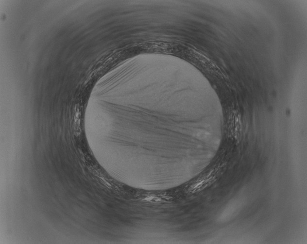 X0000081471013200702021827