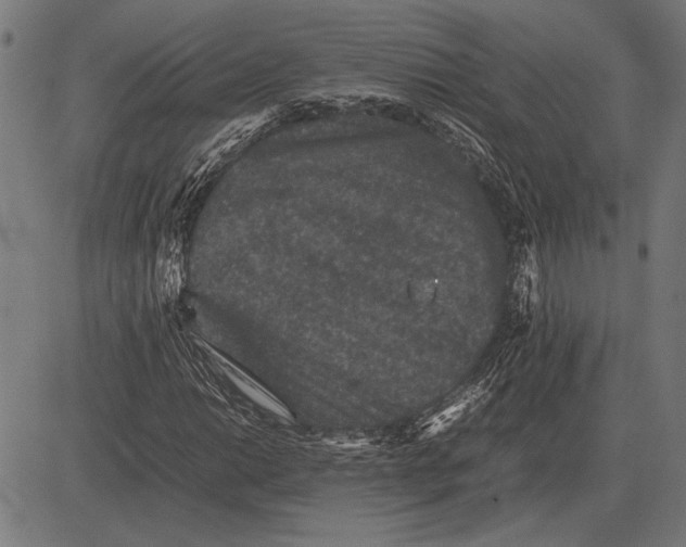 X0000081471014200702021827