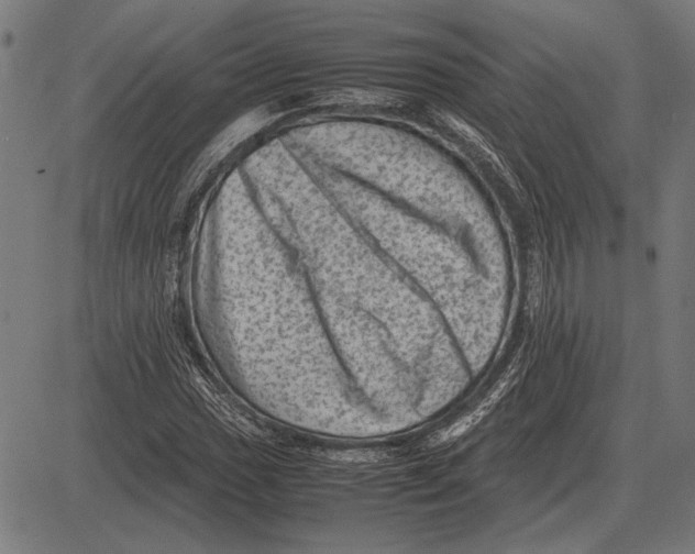 X0000081471017200702021827