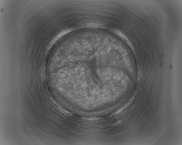 X0000081471019200702021827