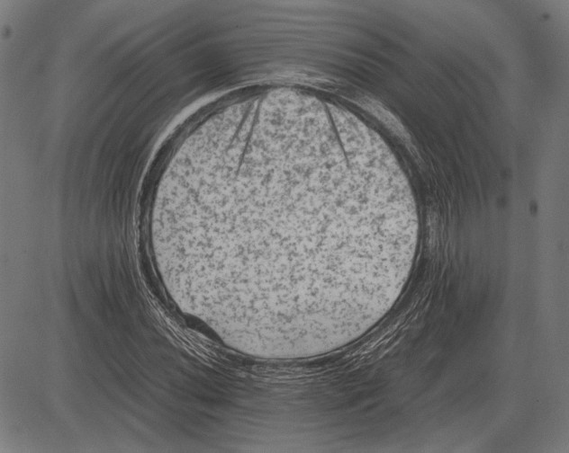 X0000081471020200702021827