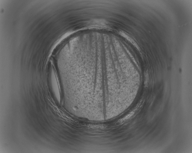 X0000081471021200702021827