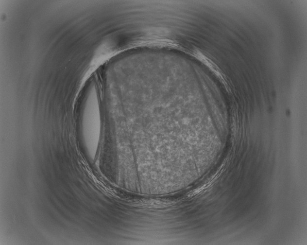 X0000081471022200702021827