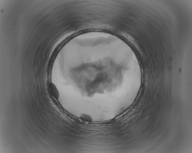 X0000081471024200702021827