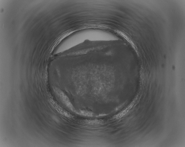 X0000081471025200702021827