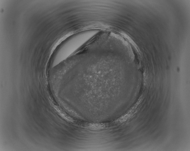 X0000081471026200702021827