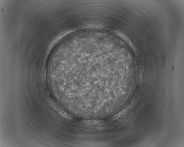 X0000081471027200702021827