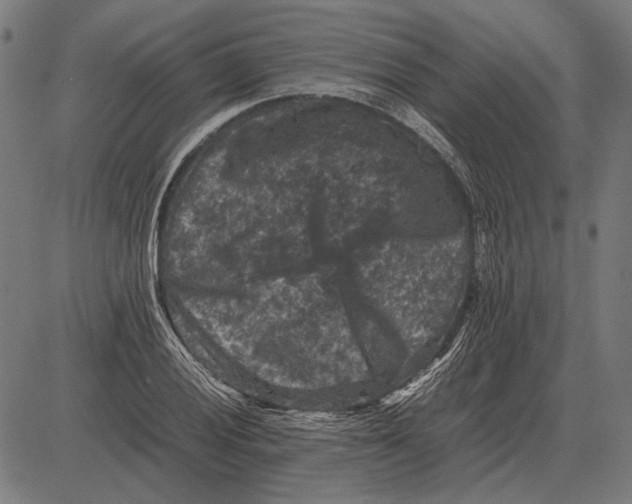 X0000081471028200702021827