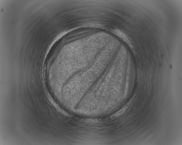 X0000081471029200702021827