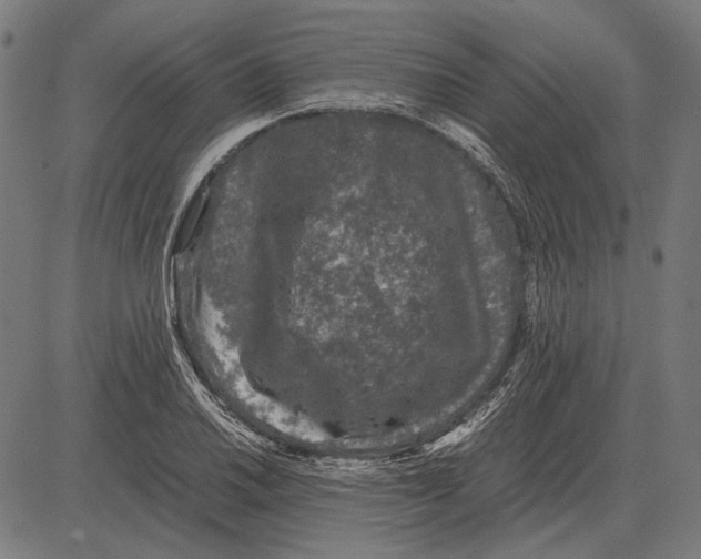 X0000081471030200702021827