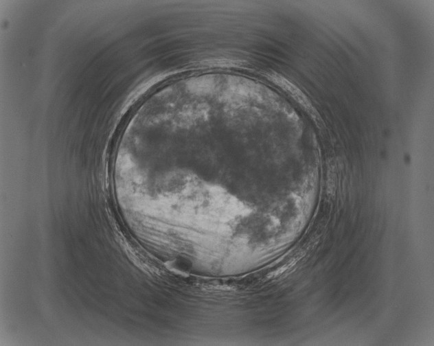 X0000081471031200702021827