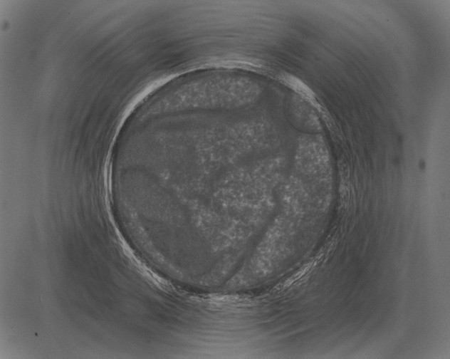 X0000081471032200702021827