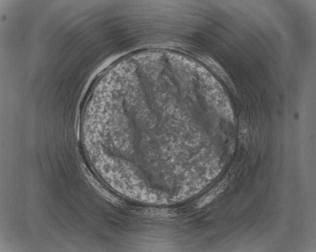 X0000081471036200702021827