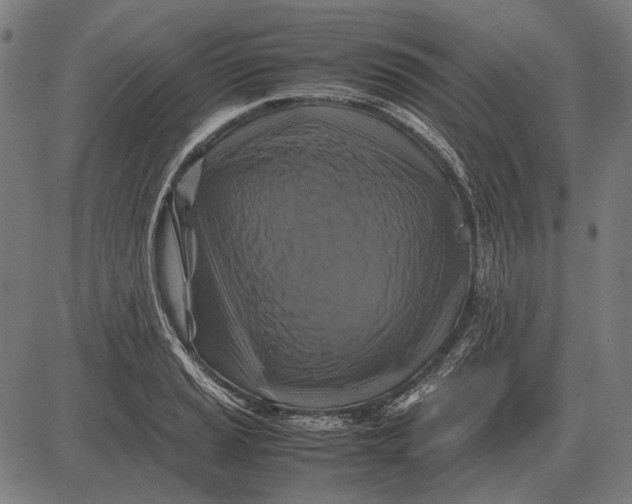 X0000081471037200702021827