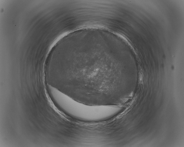 X0000081471038200702021827