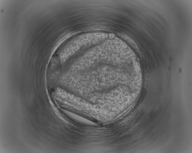 X0000081471039200702021827