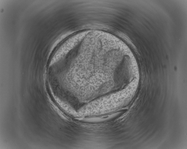 X0000081471040200702021827