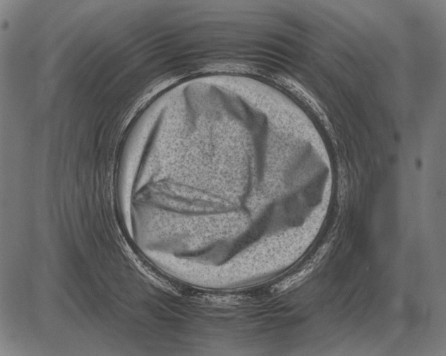 X0000081471041200702021827