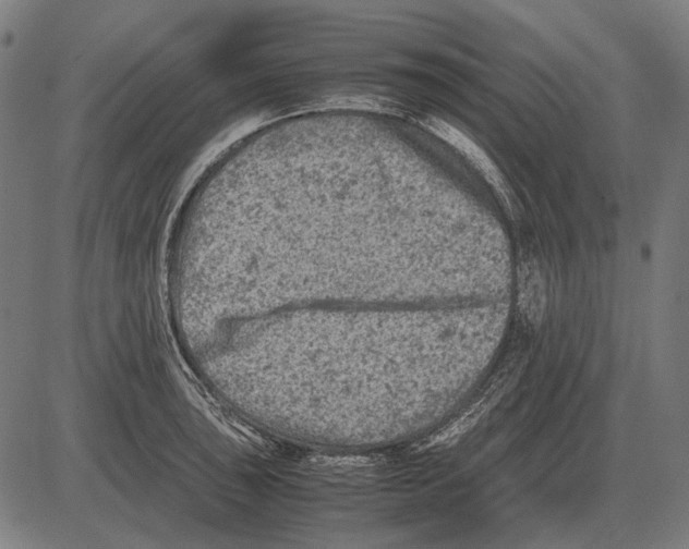 X0000081471043200702021827