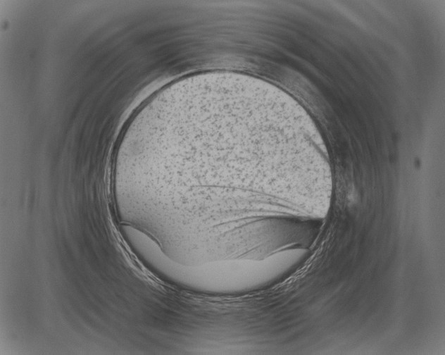 X0000081471044200702021827