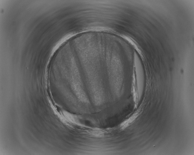 X0000081471046200702021827