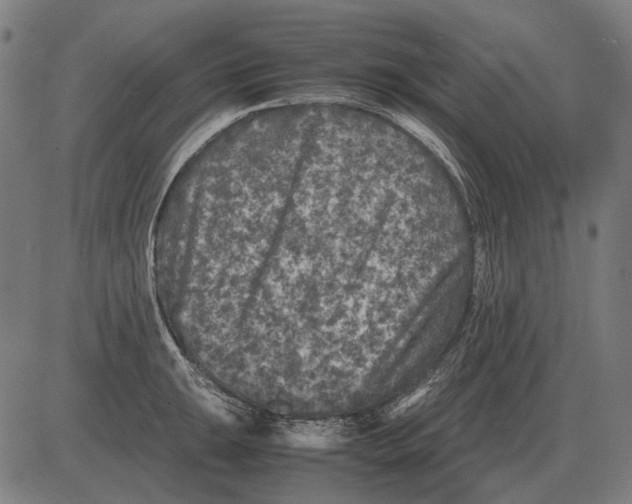 X0000081471047200702021827