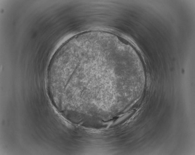 X0000081471048200702021827